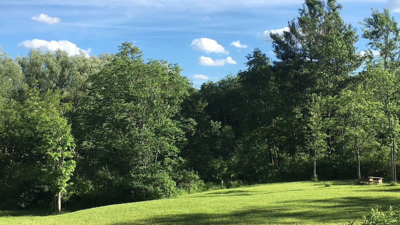Photo of Others in Great Valley