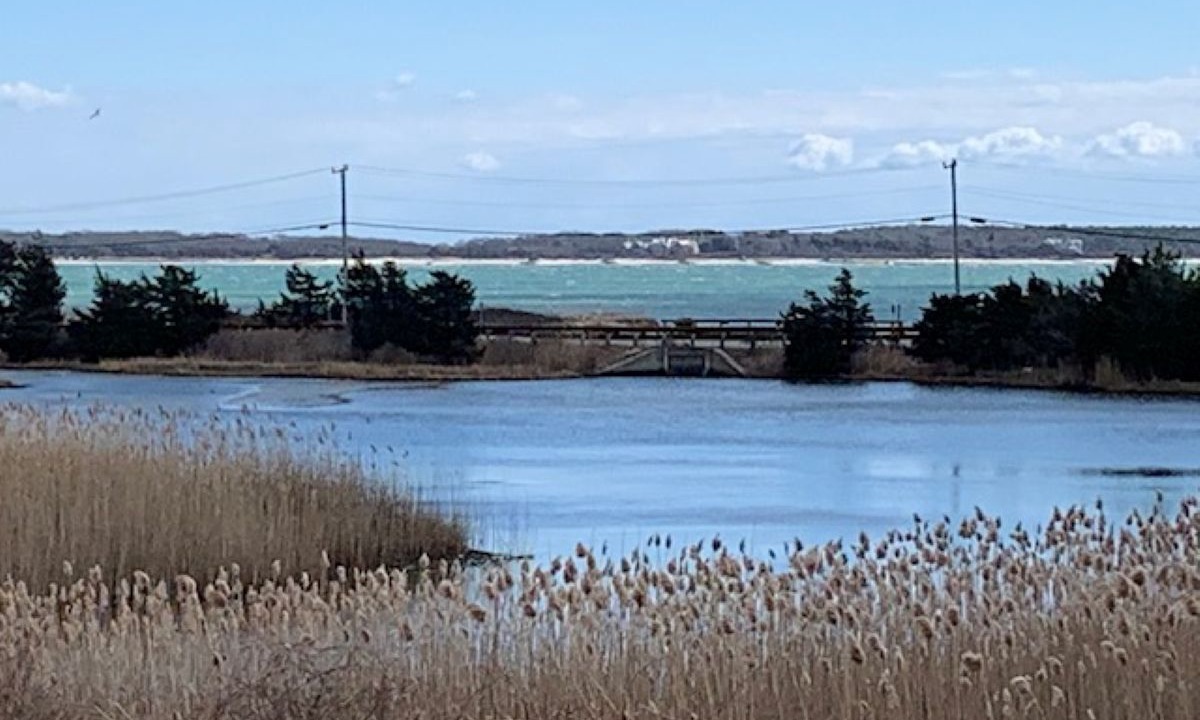 Photo of Others in Hyannis Port