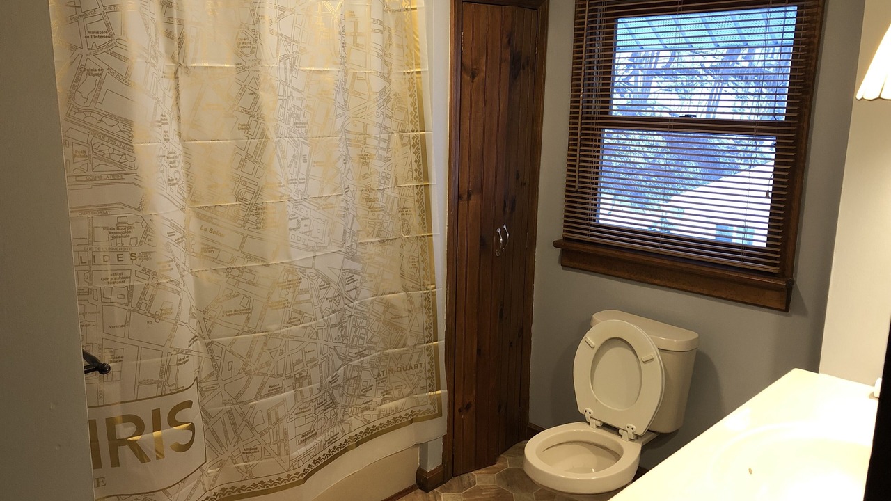 Photo of Bathroom in Oneonta