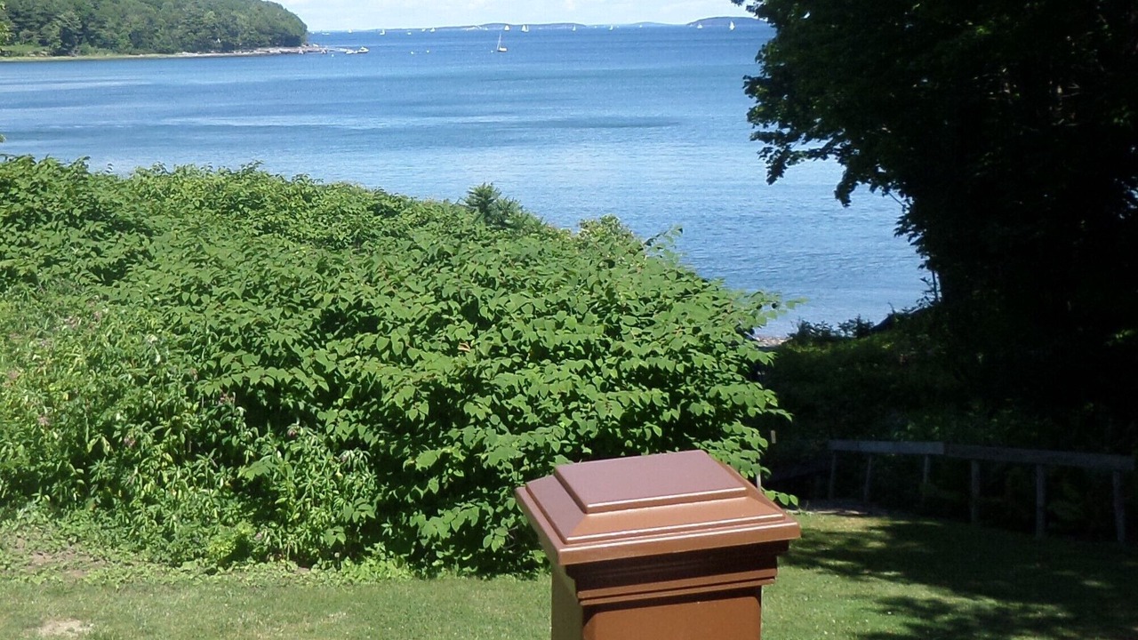 Photo of Others in Glen Cove
