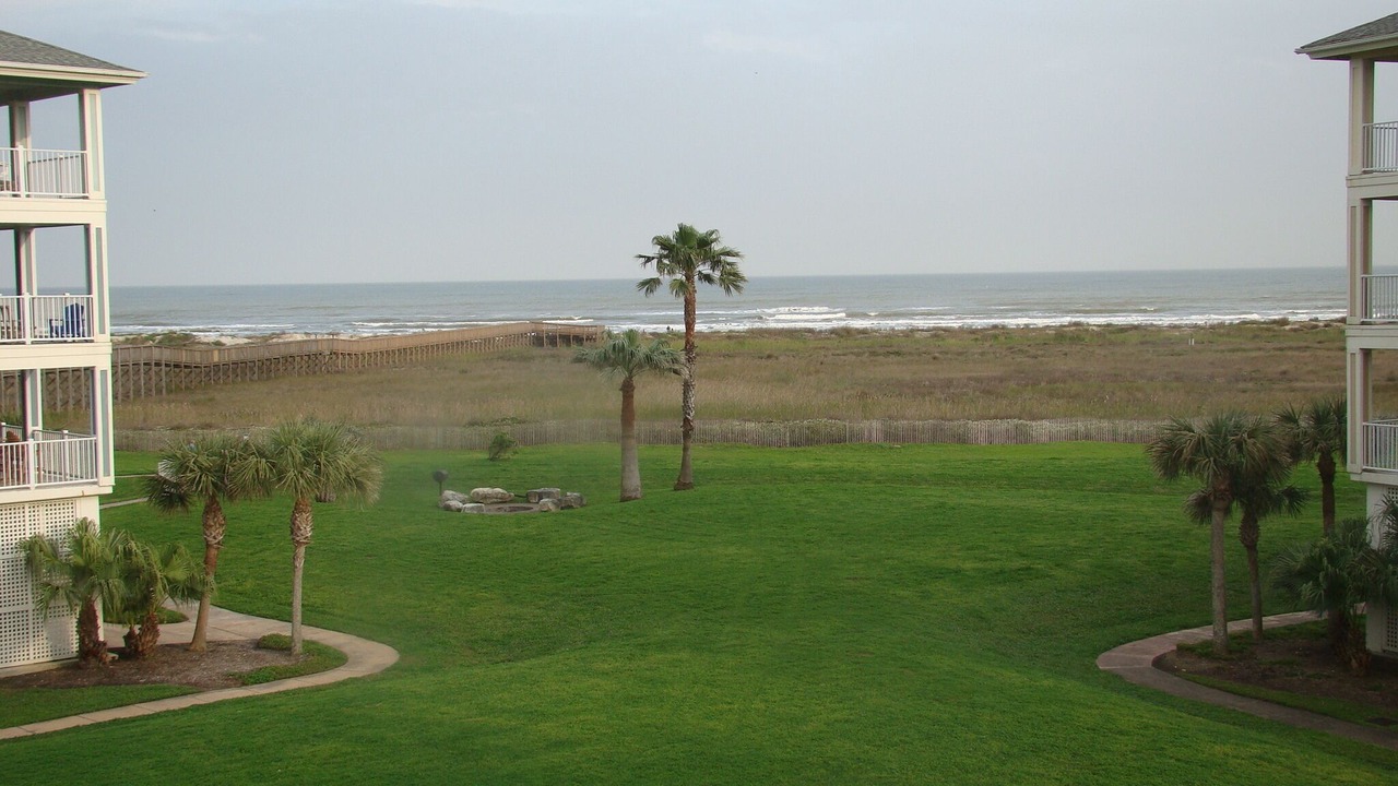 Photo of Others in Red Fish Cove