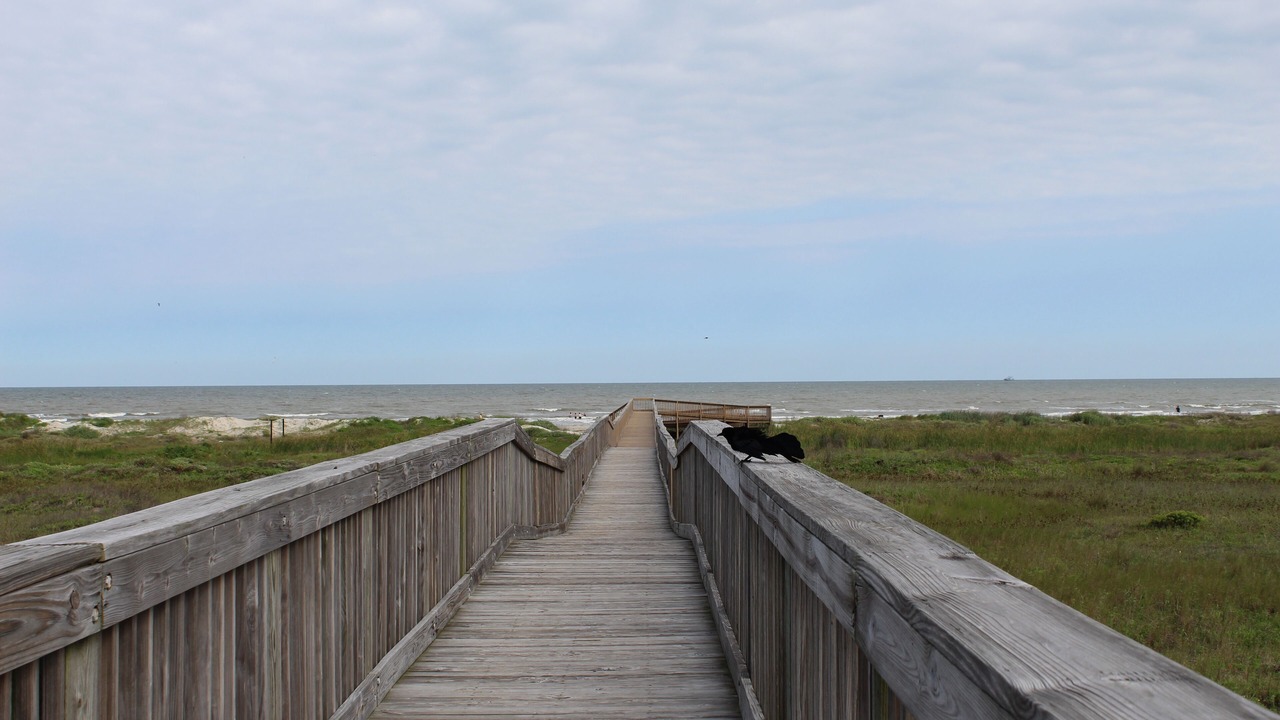 Photo of Others in Red Fish Cove