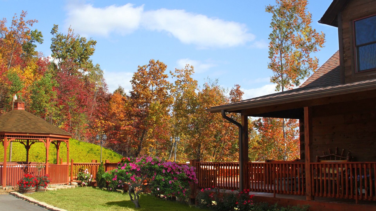 Photo of Outdoor in Dobson