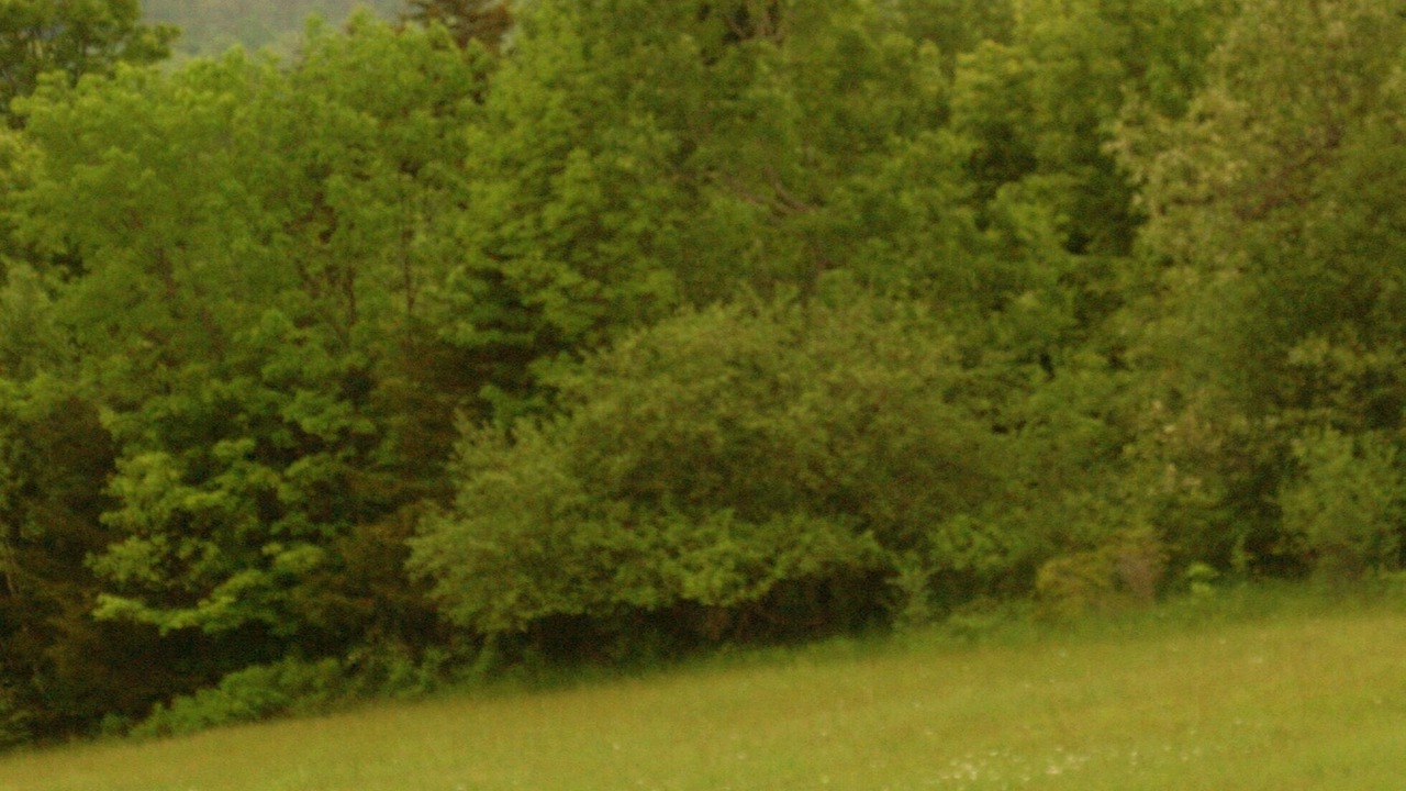 Photo of Others in Northfield