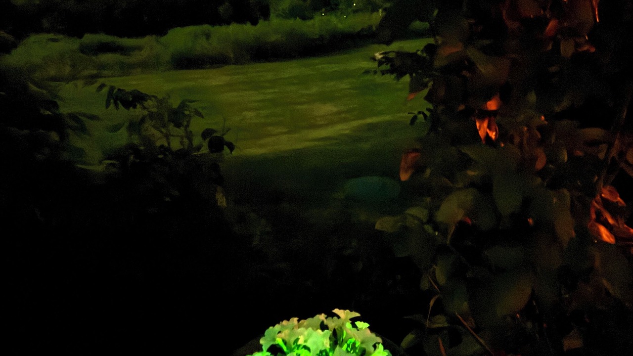 Photo of Outdoor in Town of New Scotland