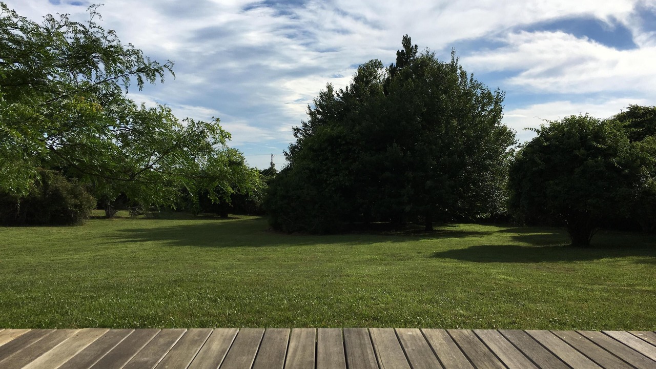 Photo of Outdoor in Montauk