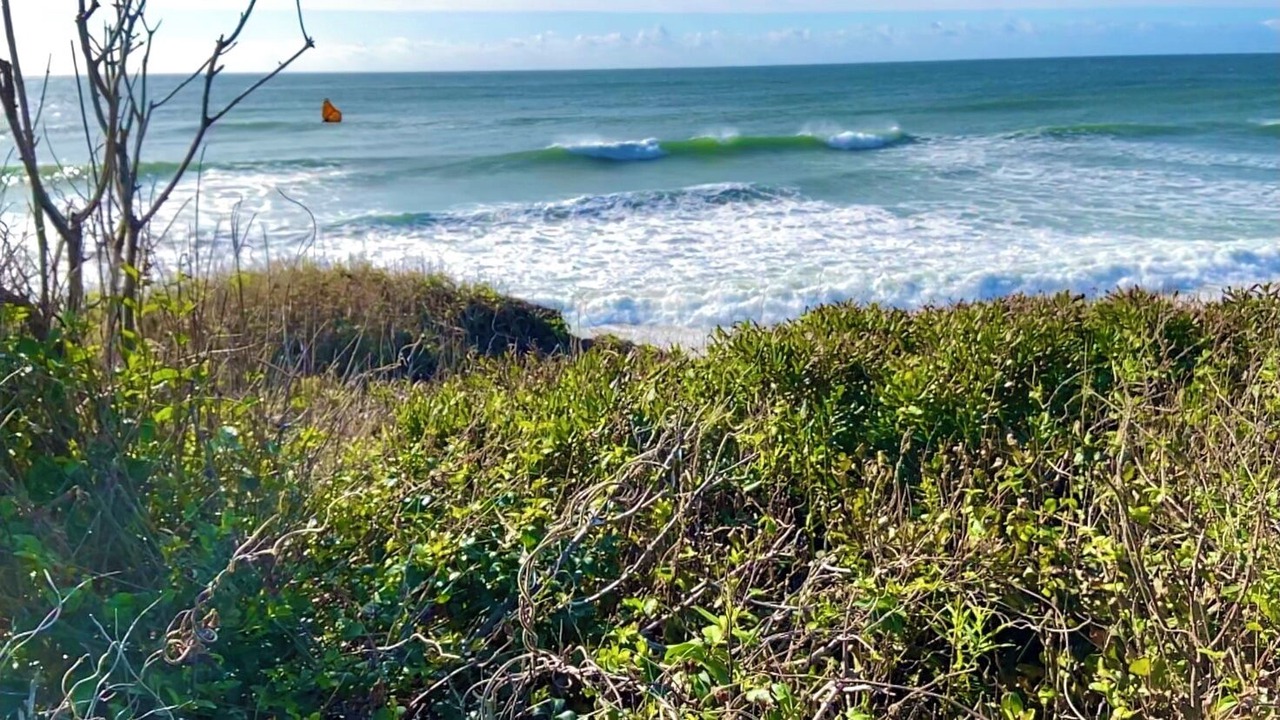 Photo of Others in Montauk