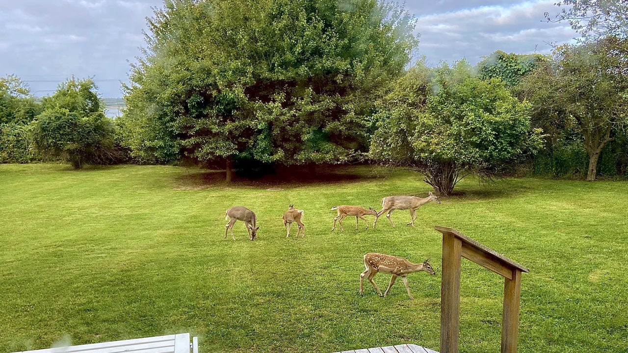Photo of Outdoor in Montauk