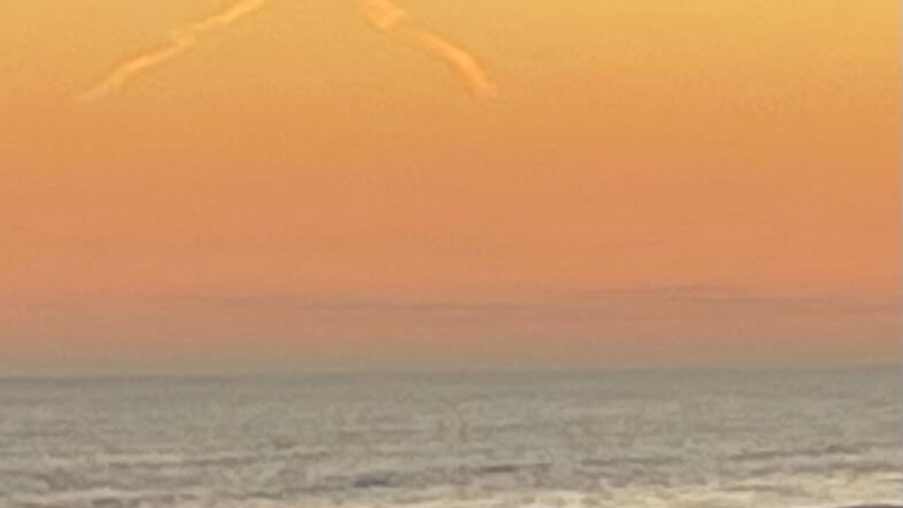Photo of Others in Bermuda Beach