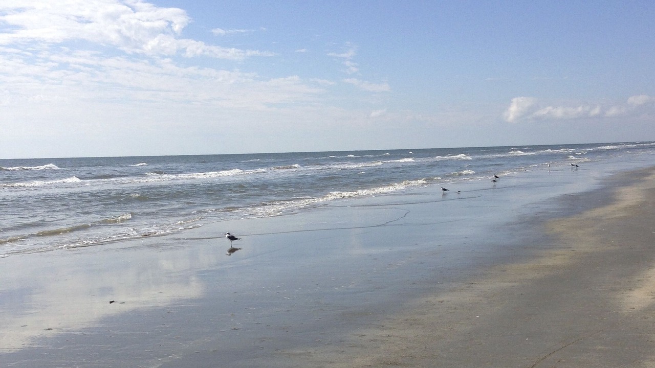 Photo of Others in Pirates Beach