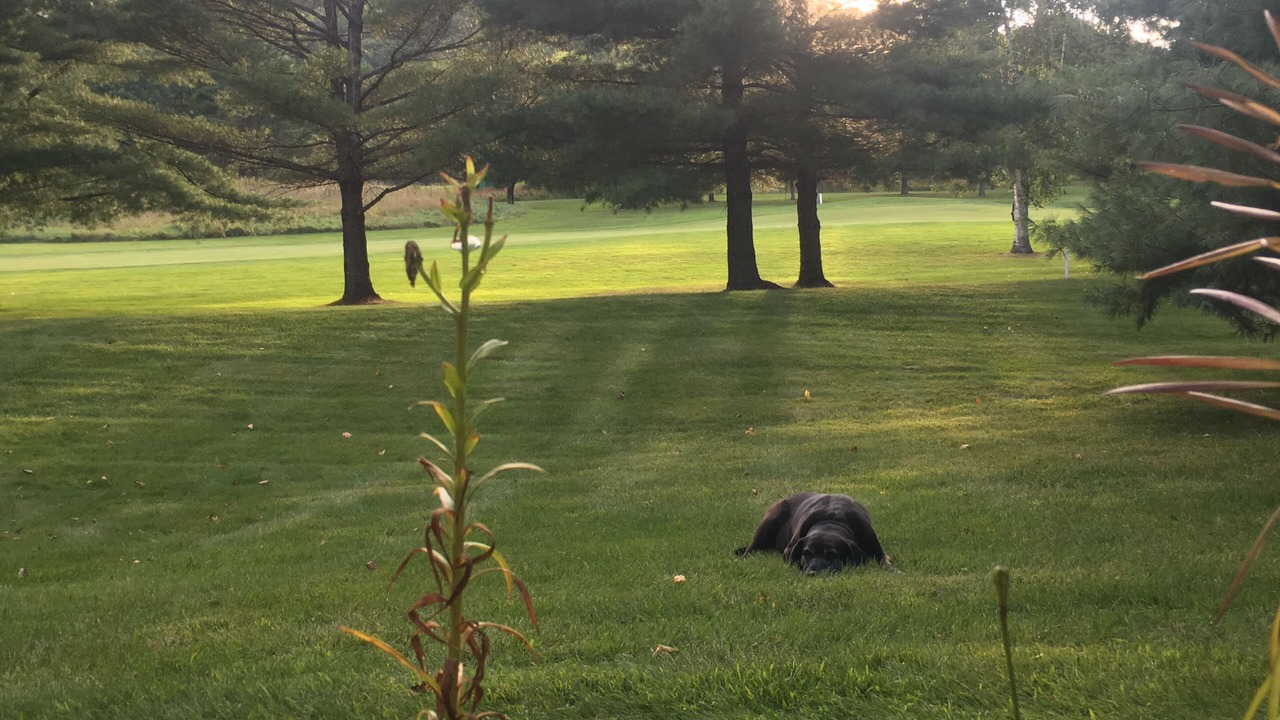 Photo of Others in Quechee