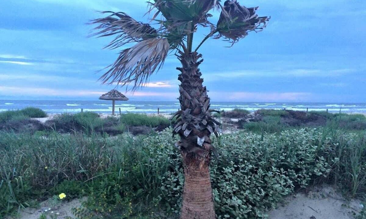 Photo of Others in Surfside Beach
