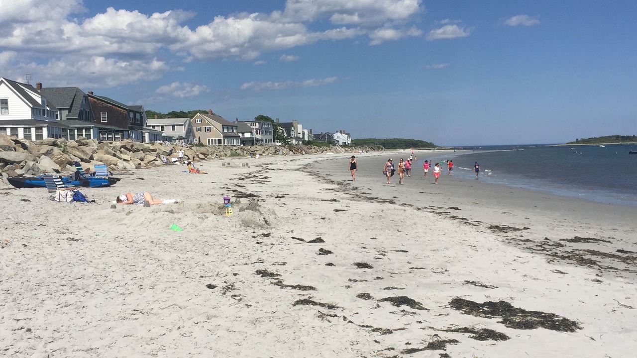 Photo of Others in Cape Porpoise