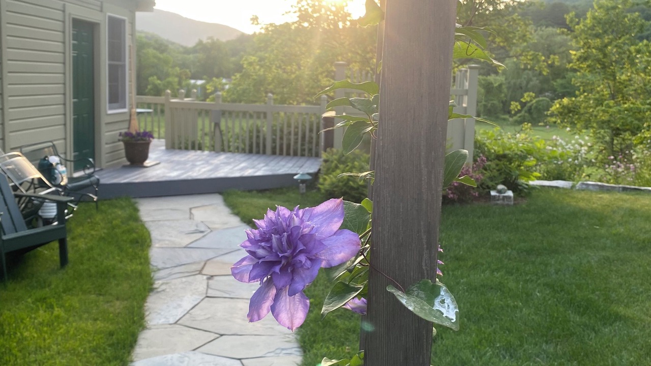 Photo of Outdoor in Arlington