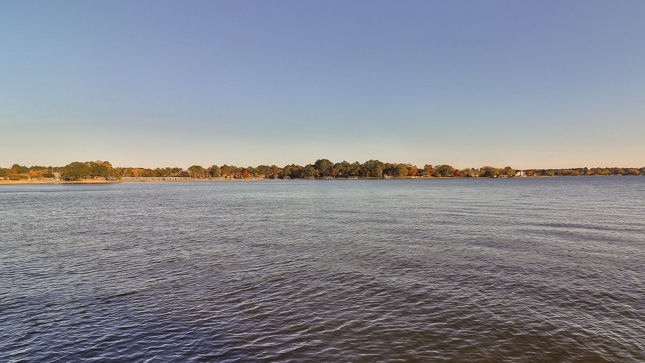 Photo of Others in Seven Coves