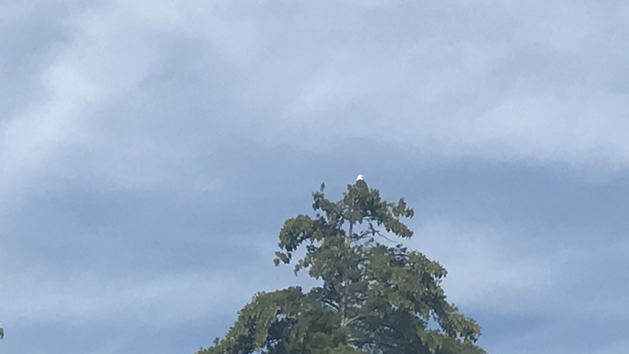 Photo of Others in Poultney