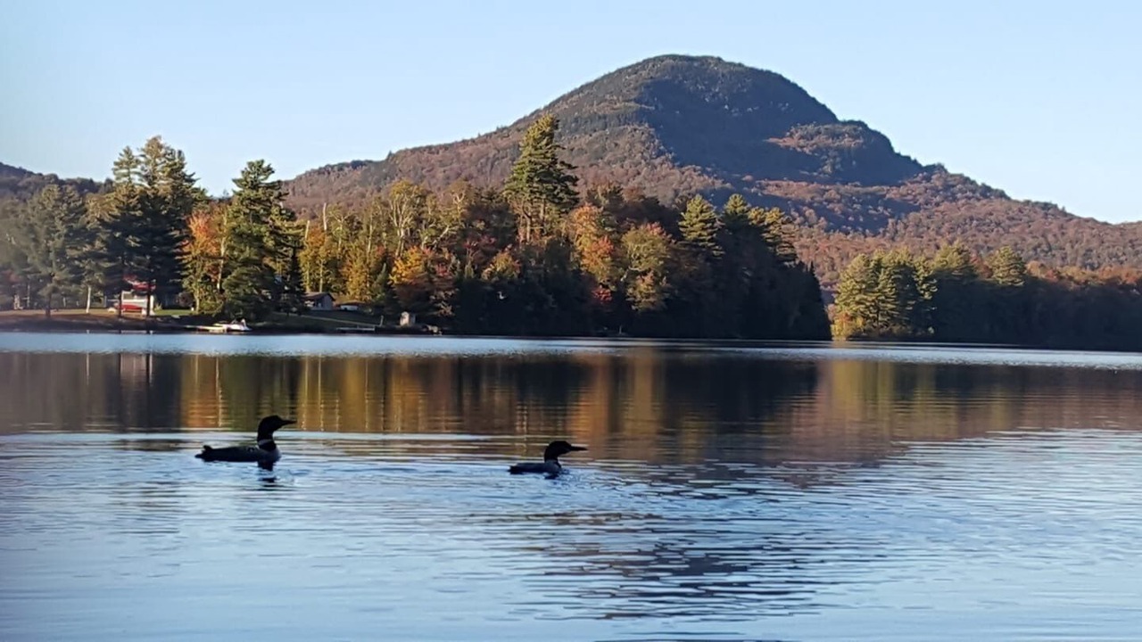 Photo of Outdoor in Eden