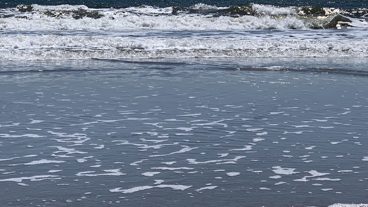 Photo of Others in Long Beach