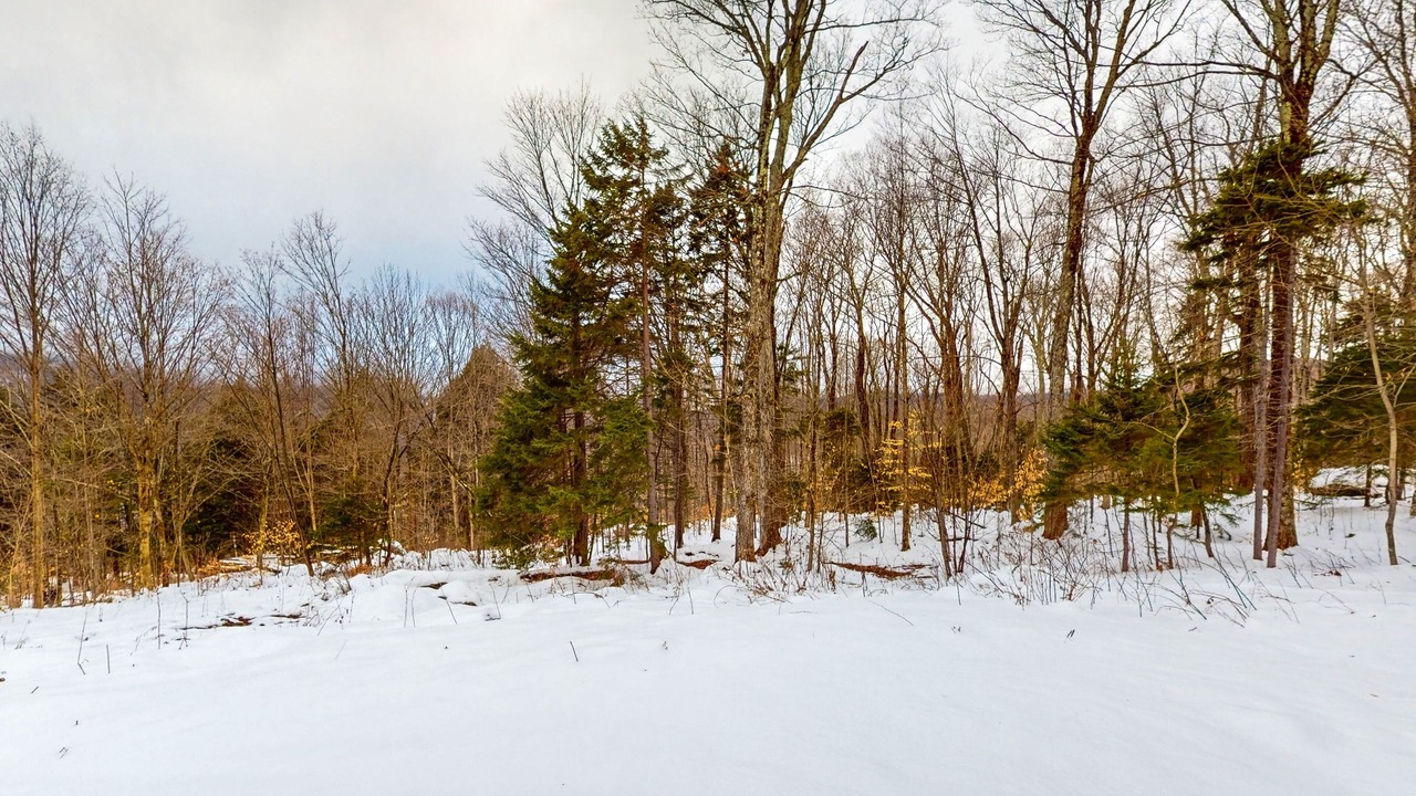 Photo of Others in Waitsfield