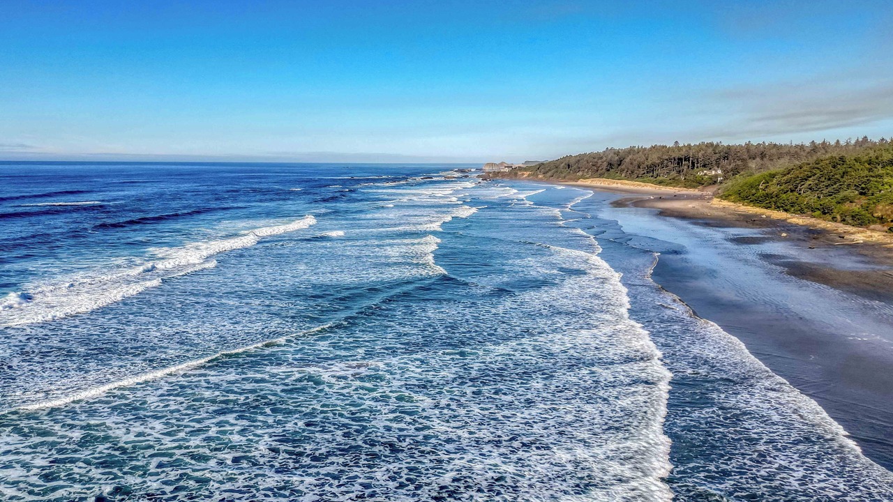 Photo of Others in Seal Rock