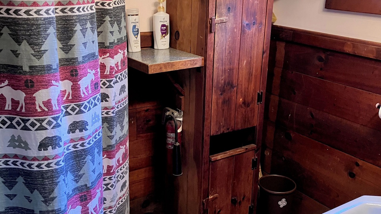 Photo of Bathroom in Belmont