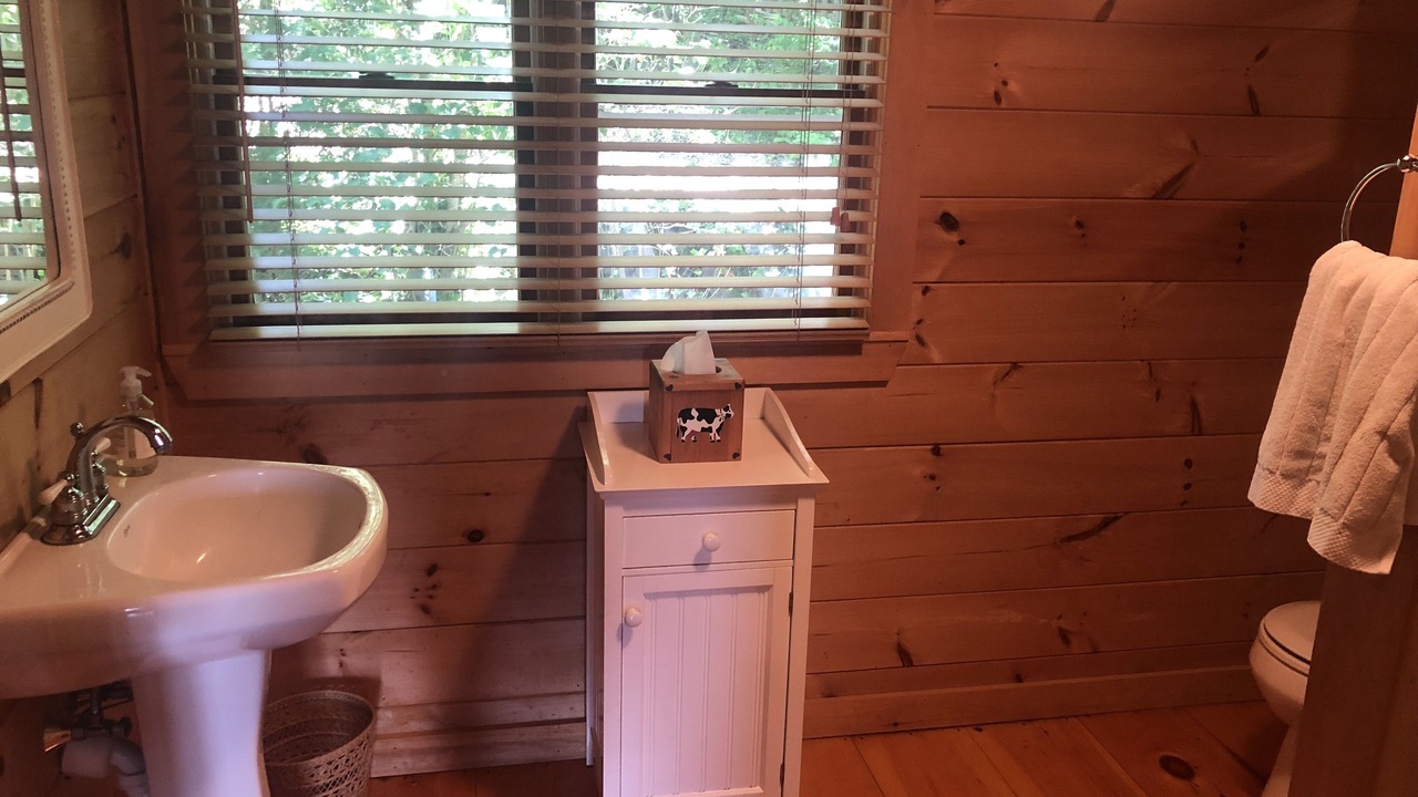 Photo of Bathroom in North Ferrisburgh