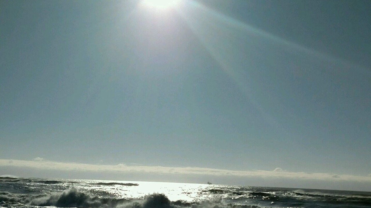 Photo of Others in Ocean Bay Park