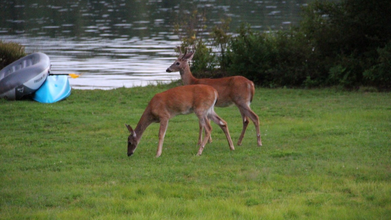 Photo of Others in Washington