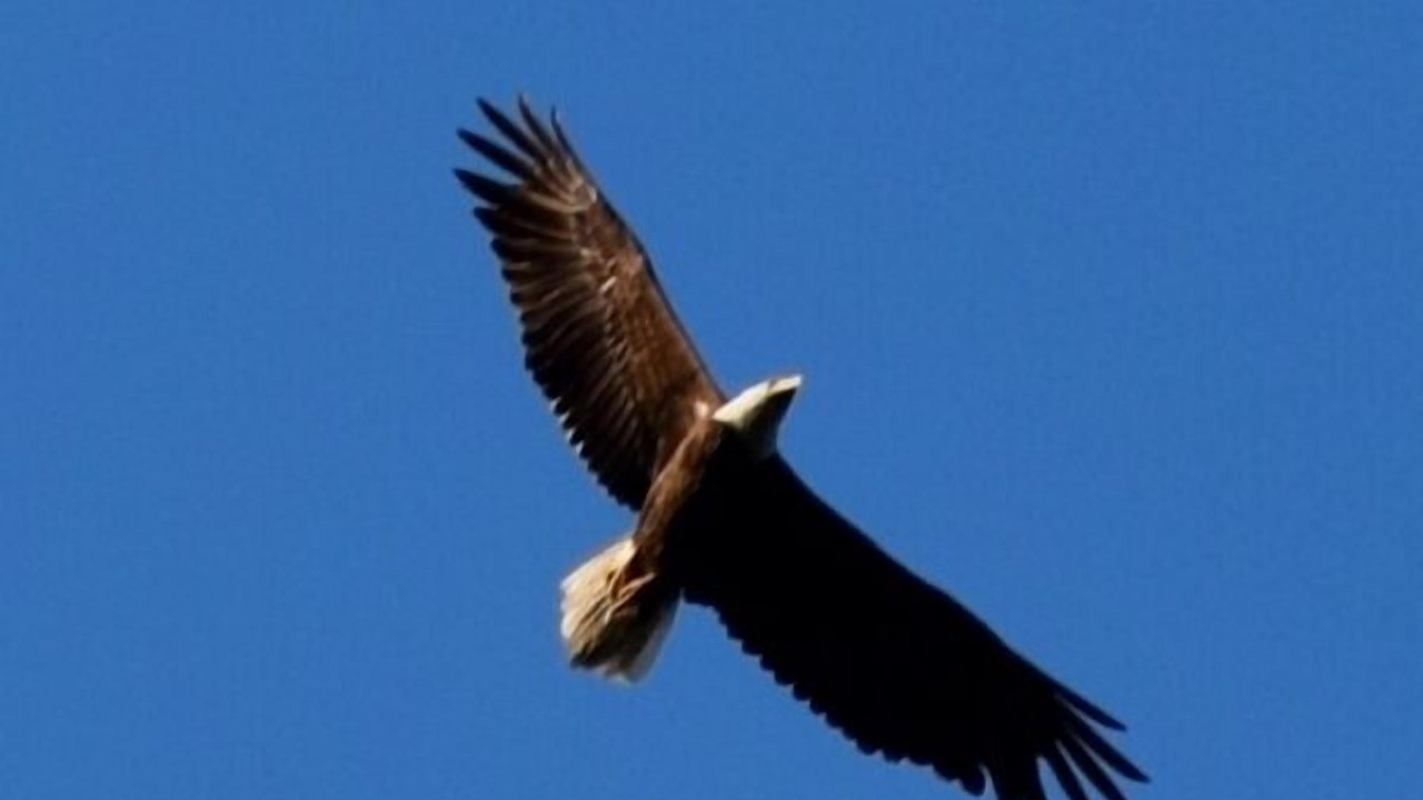 Photo of Others in Washington