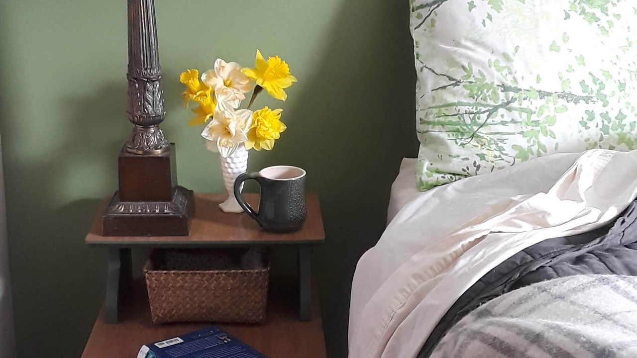Photo of Bedroom in Rochester