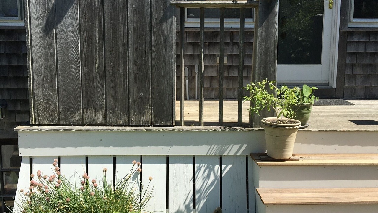 Photo of Outdoor in Eel Point
