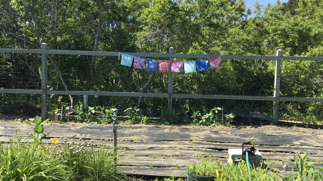 Photo of Outdoor in Eel Point