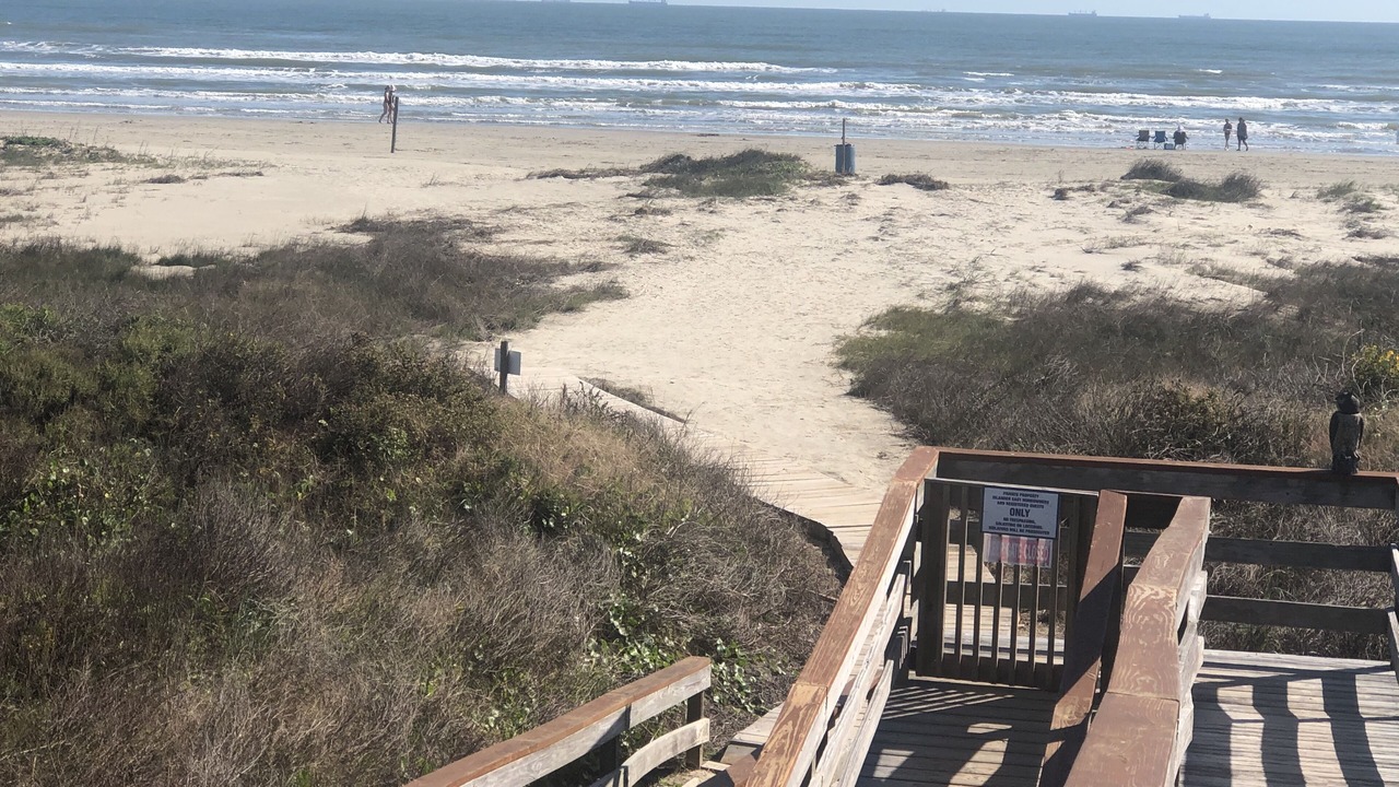 Photo of Others in Galveston