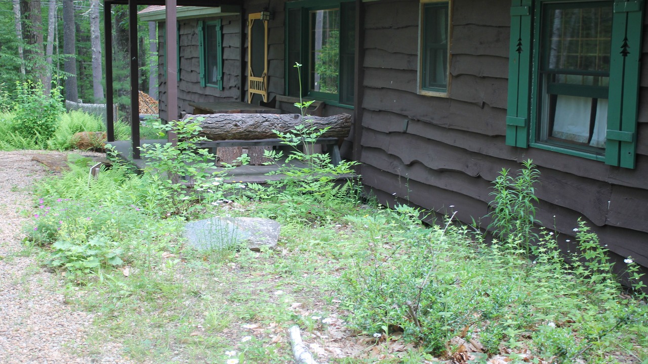 Photo of Outdoor in Pittsfield