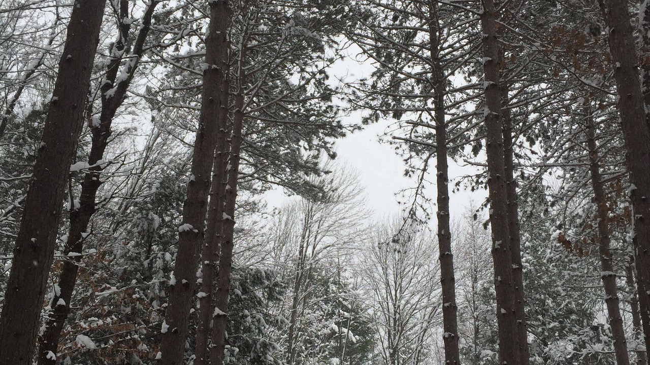 Photo of Others in Northville