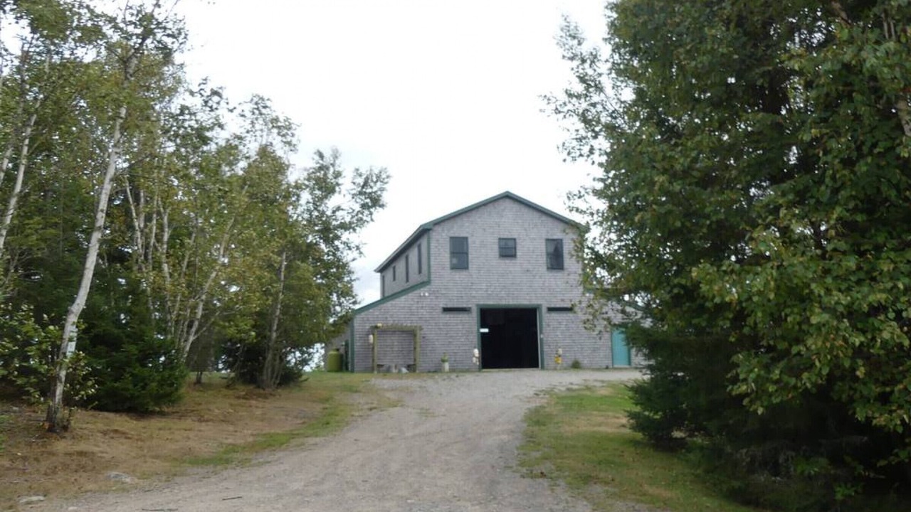 Photo of Outdoor in Eastport