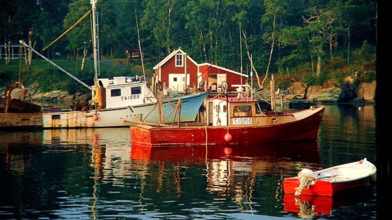 Photo of Others in New Harbor