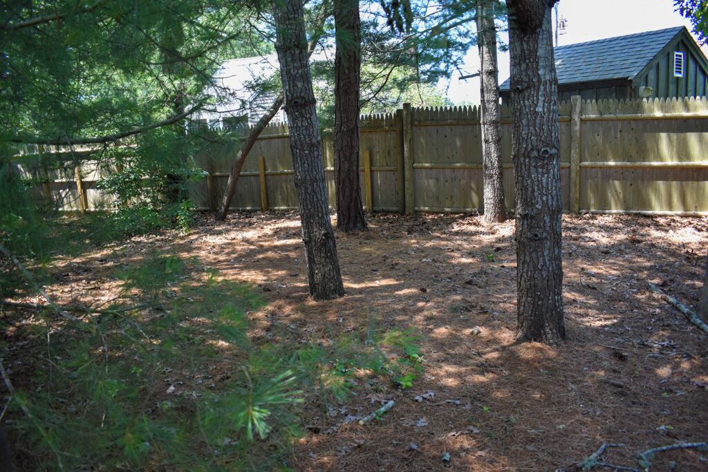 Photo of Outdoor in Dennis Port