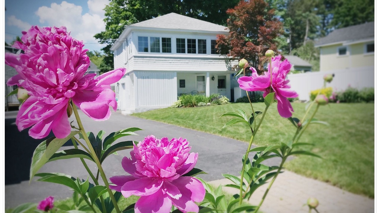 Photo of Outdoor in Ogunquit