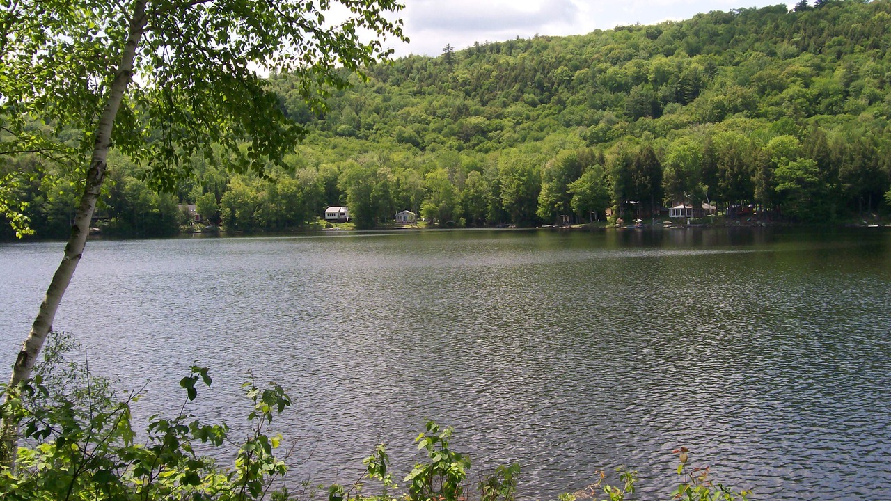 Photo of Outdoor in Canaan
