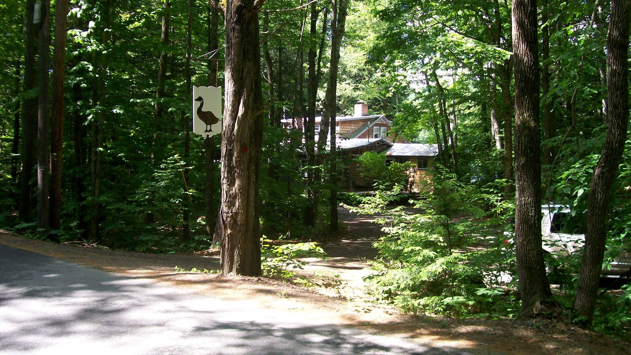 Photo of Others in Canaan