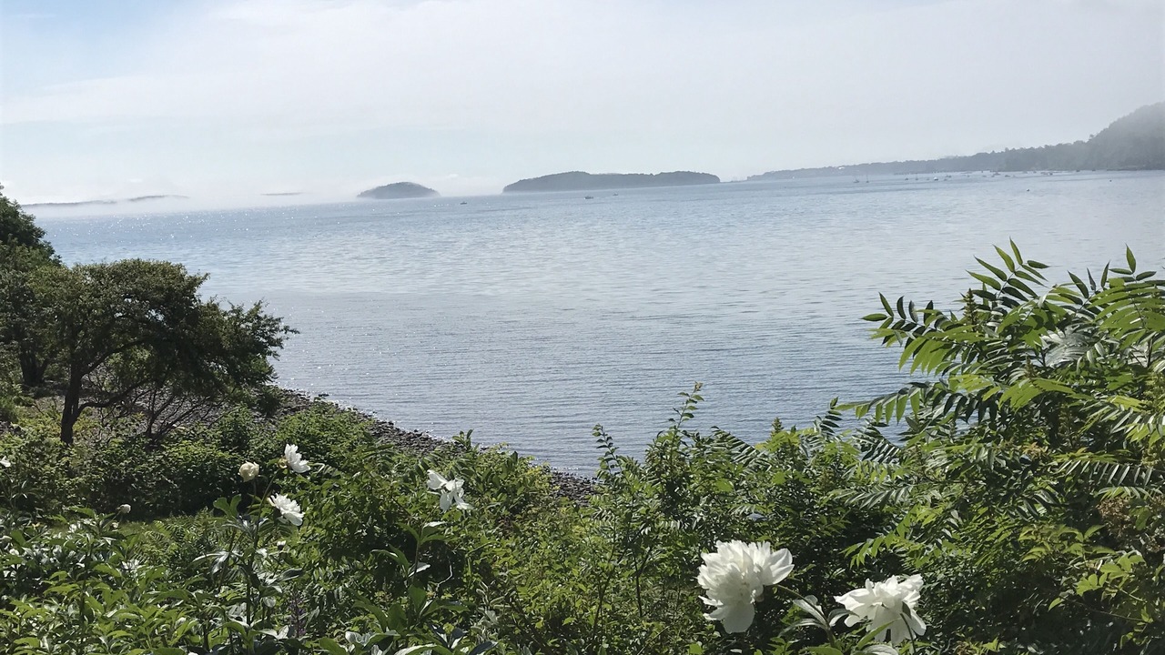 Photo of Others in Hulls Cove