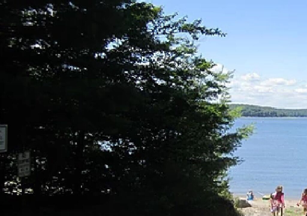 Photo of Others in White Lake