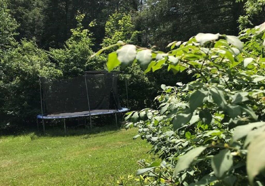 Photo of Outdoor in White Lake