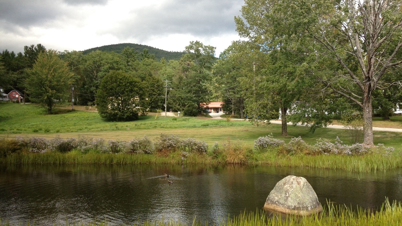 Photo of Others in Intervale