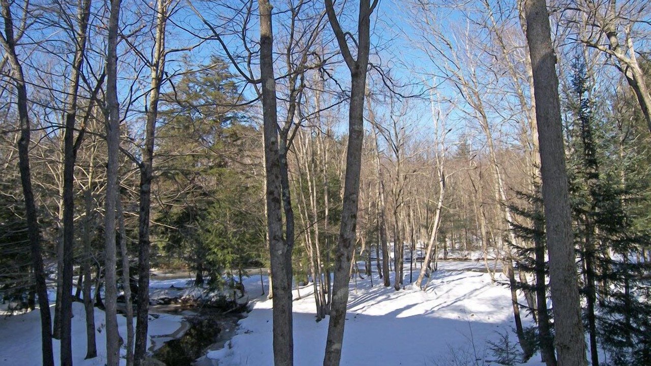 Photo of Others in North Woodstock