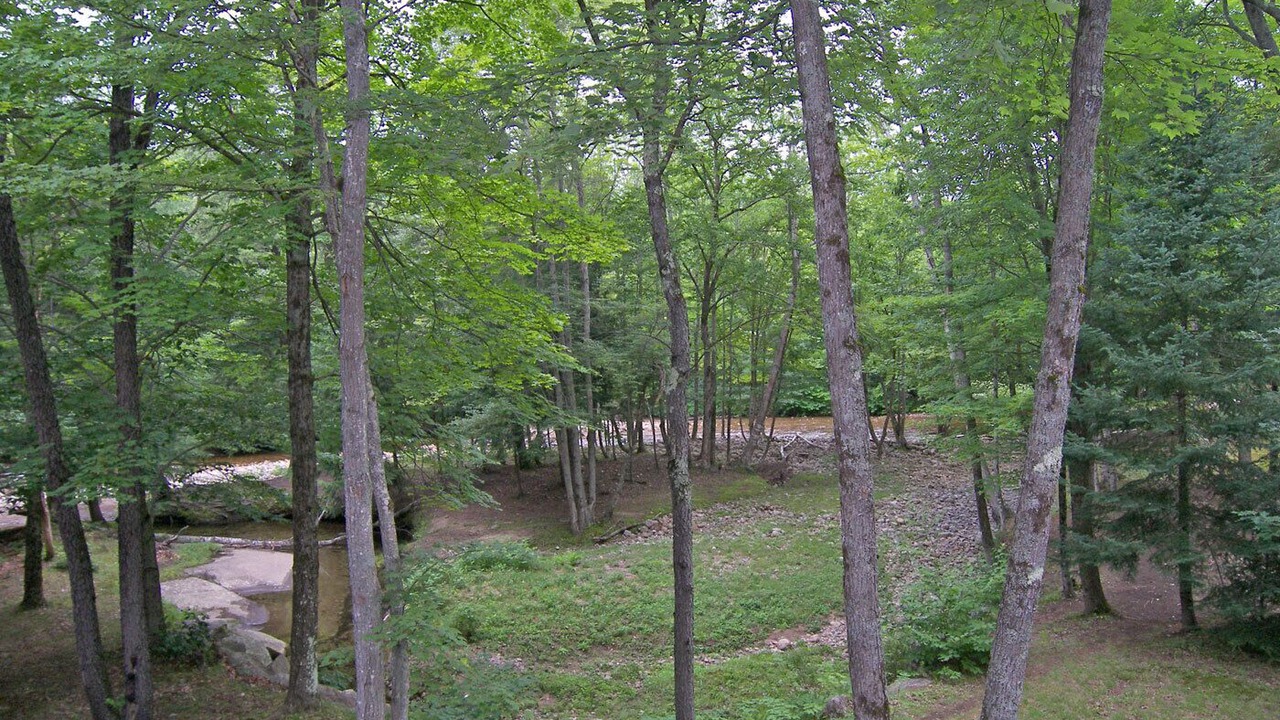 Photo of Others in North Woodstock