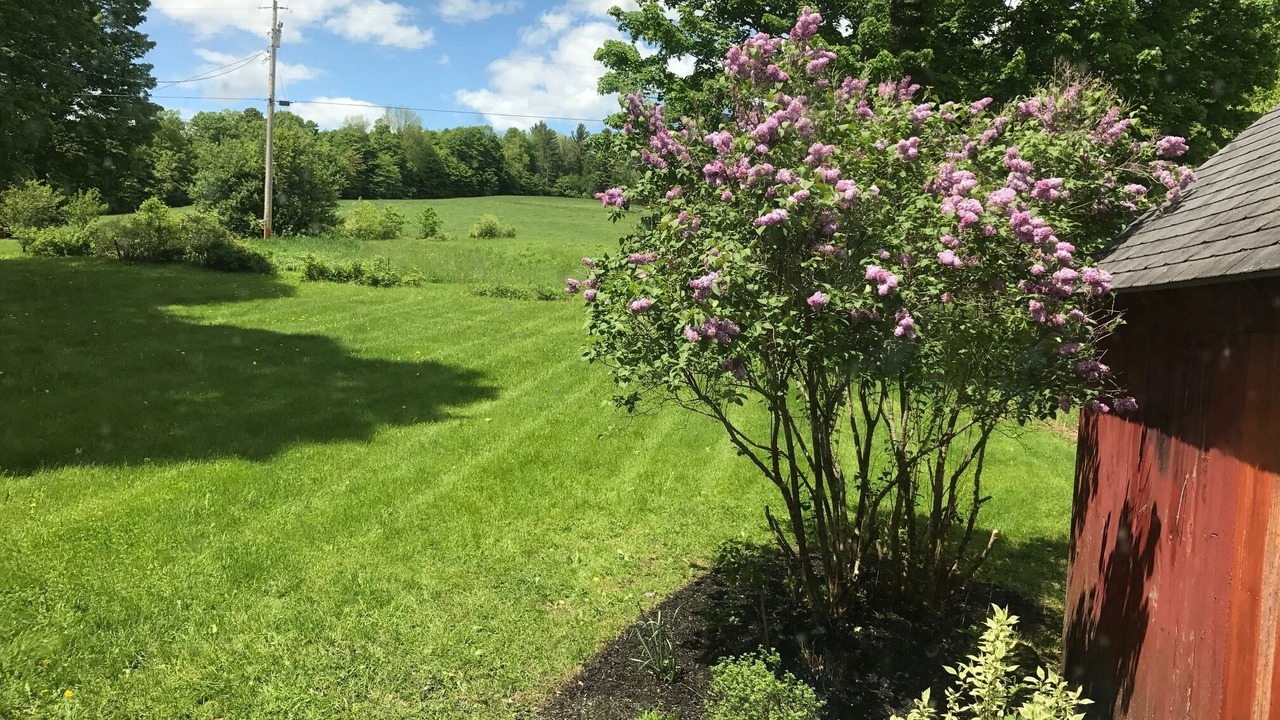 Photo of Others in Lyndonville