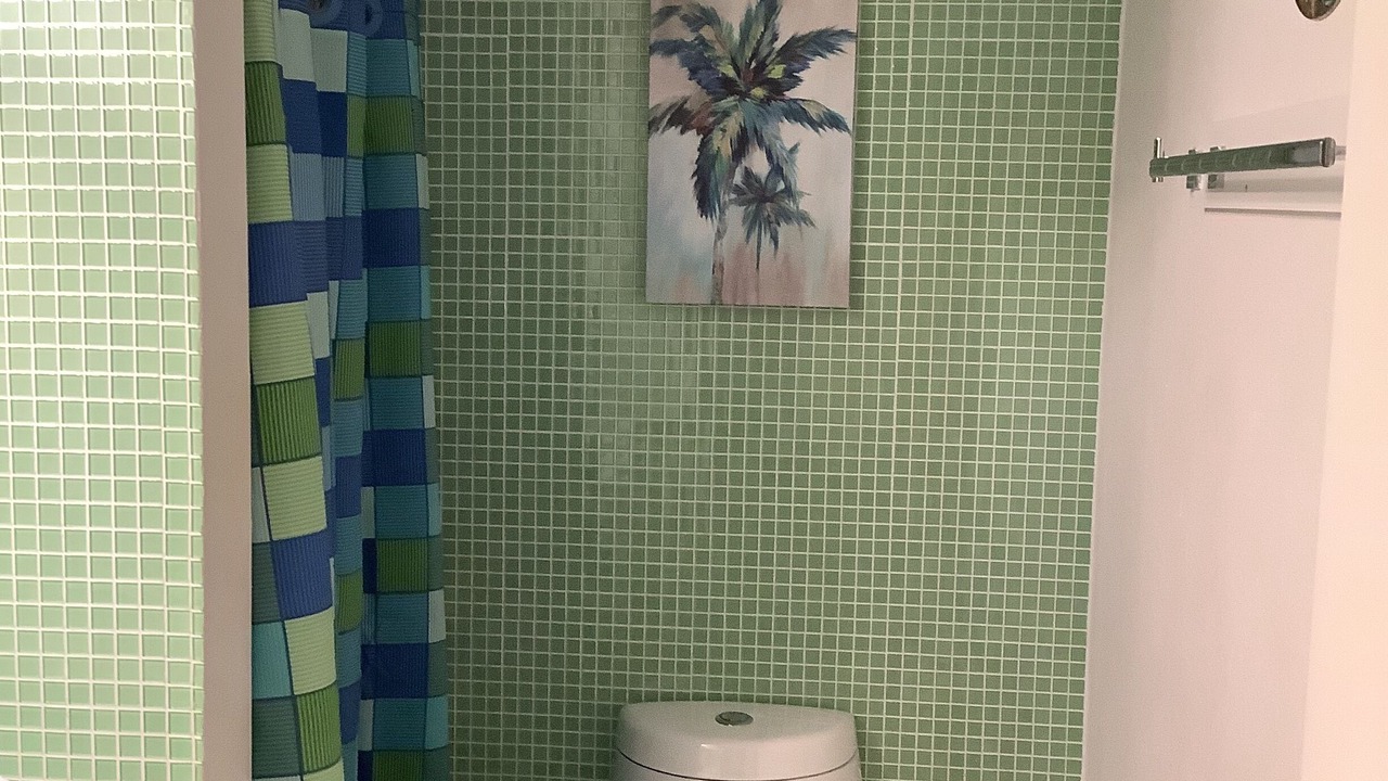 Photo of Bathroom in Bermuda Beach