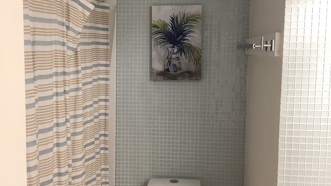 Photo of Bathroom in Bermuda Beach